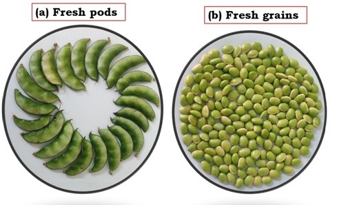 Seed photo